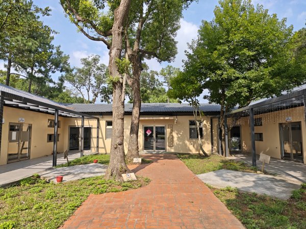 [霄裡好風光，運動樂悠遊！-6/10] 2025_0608 大湳森林公園2808208