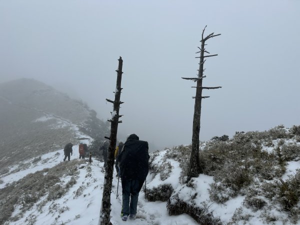 南二段撤退行2743028