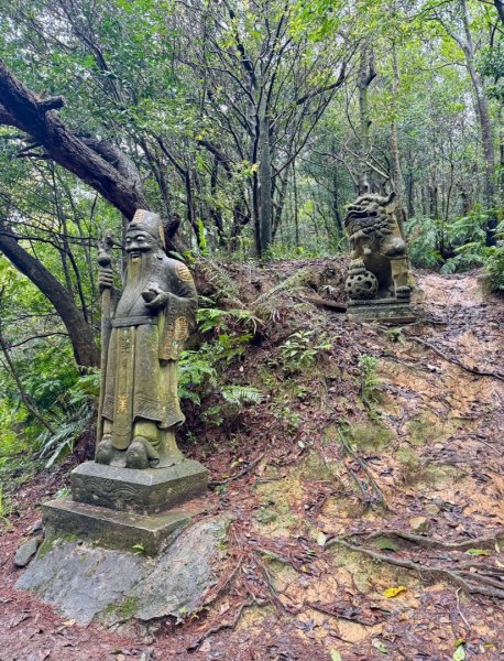台北縱走第四段訪雙溪山 梅花山與西峰南峰西南峰 碧山3012839