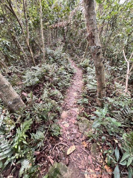 【新竹＋苗栗】猿獅縱走2989077