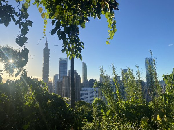 【四獸山 Short】虎豹象先行！獅山封閉中，等新步道開箱再相見2888867