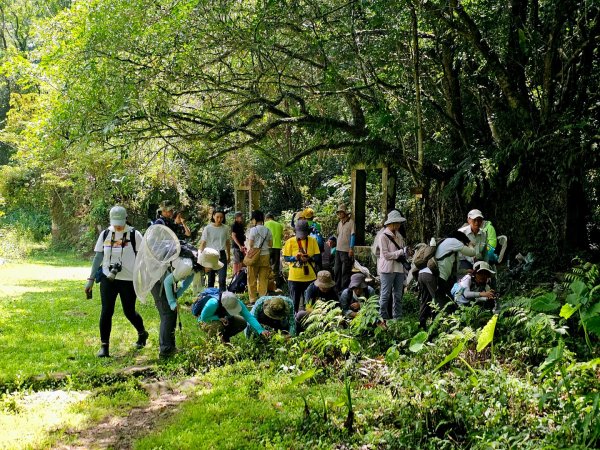 中坑古道(淡蘭中路)-新北市雙溪區2886247