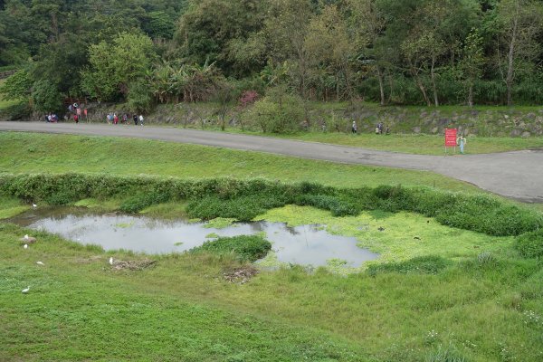 大溝溪親水公園．圓覺瀑布1269508