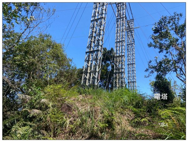 草嶺山、白石山、頭寮山 六連峰 O型路線2798568