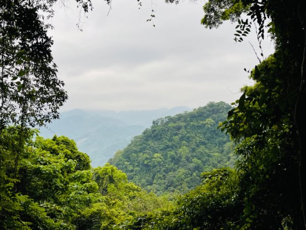 1110416三湖山｜鳴鳳-南隘勇-龍骨-綠色-延平古道0605/08271679541