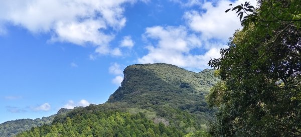 2025/10/10-水田林道上外鳥嘴山