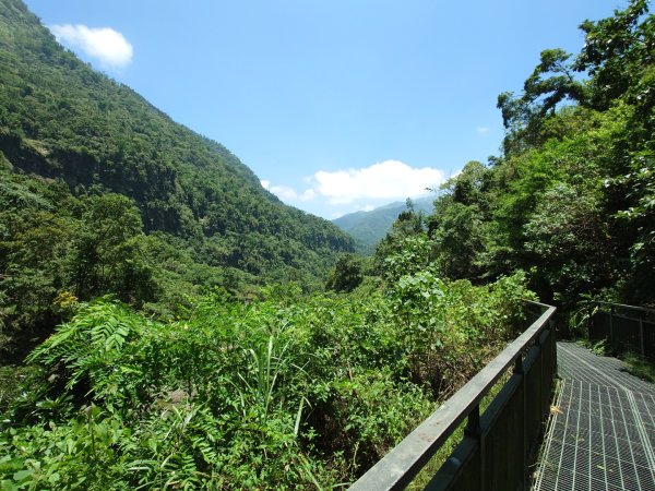 萬年峽谷步道3078774