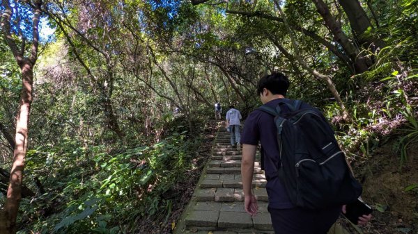南港山步道3122052