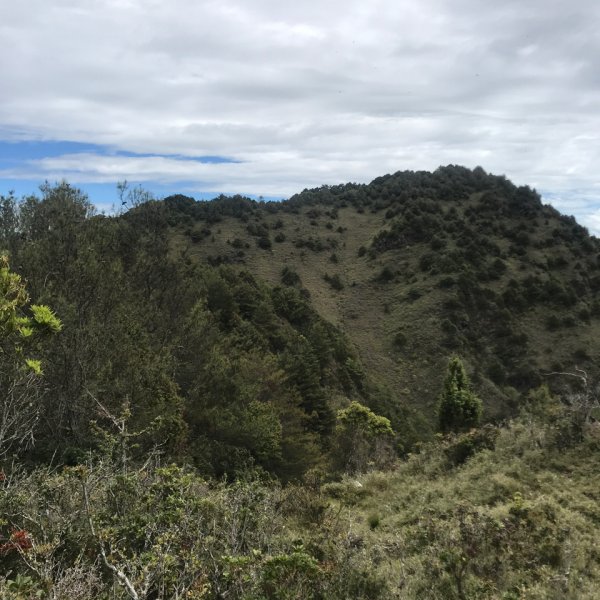 塔塔加五連峰順走玉山登山口968570