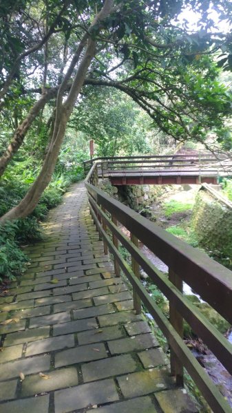 土城桐花公園→天上山569288