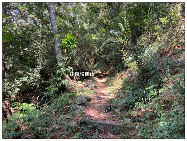東松鶴山～八仙山 (台中 和平)2940426