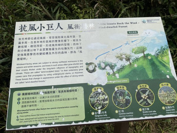 三角崙山及抹茶山3065489