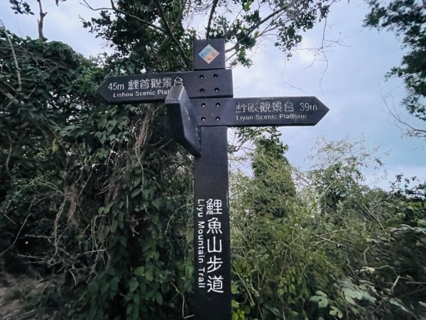 1140405台東鋰魚山步道2754219