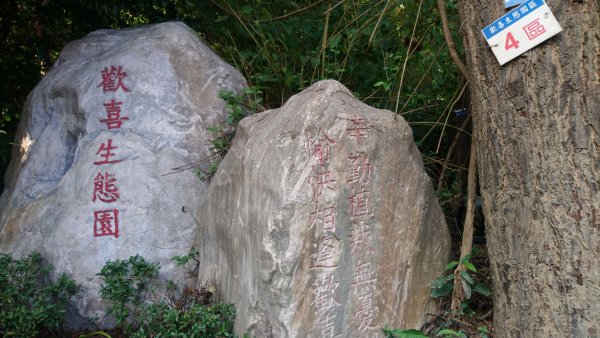 桃源里森林步道和龍鳳谷步道1591597