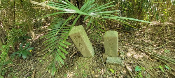 柴山登山步道1454361