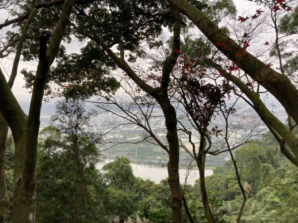 【小百岳集起來】鳶山登山步道【南山神壽任務尋寶趣】鳶山彩壁、福德坑山步道1580835