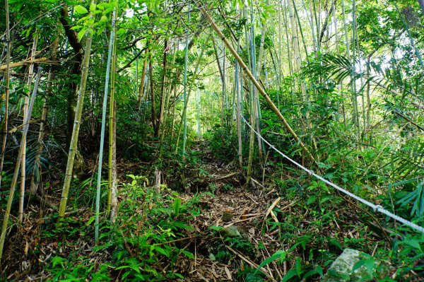 新竹 尖石 那羅山、煤源山3068655