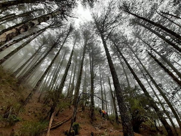 冰霜嘉明湖876717