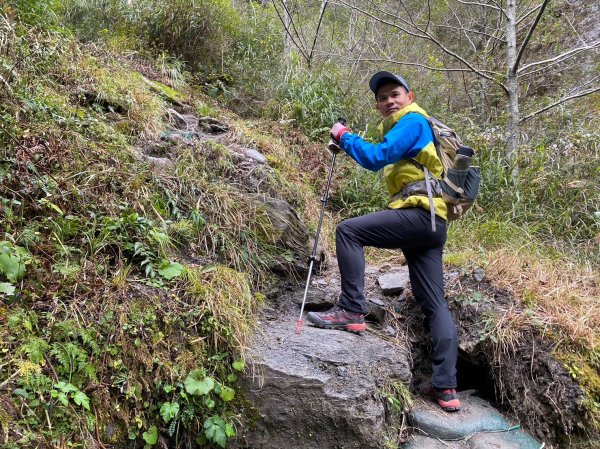 未完成的關山+庫哈諾辛山【山永遠都在 但冰封的山林不常在】2429386