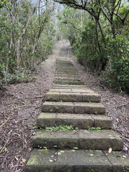 2025/03/12 大溪 桃源谷 灣坑頭山 大里2930530