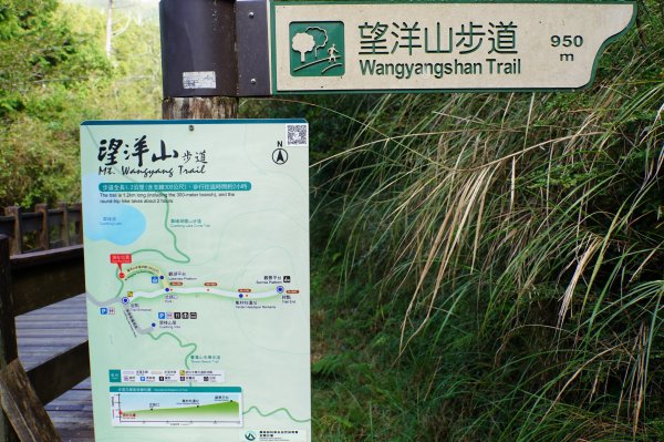 宜蘭 大同 望洋山、翠峰湖步道、山毛櫸步道2880721