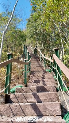 【南投魚池】後尖山步道2968306