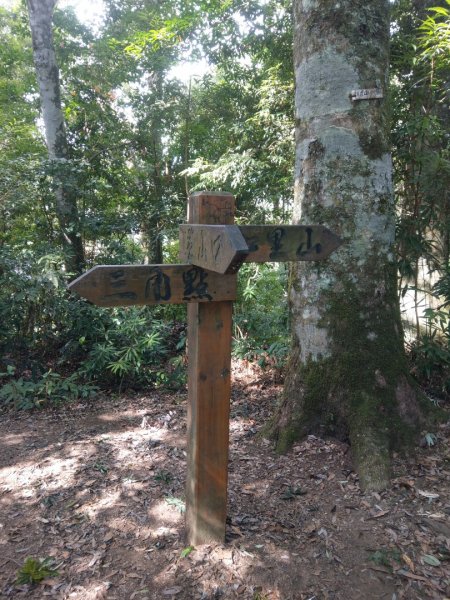 水雲三星之虎子山（虎山）1166528