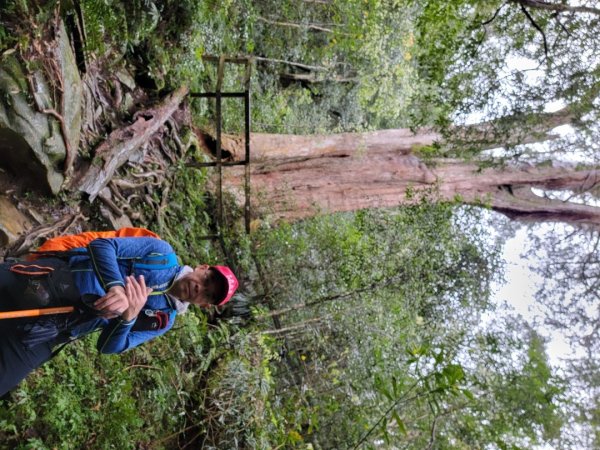 北得拉曼-20204062859827