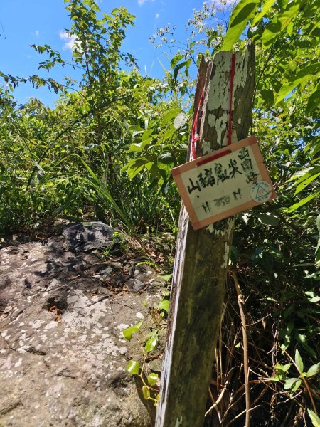 新北市-土庫岳3112157