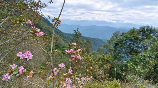 埔里六秀之3關刀山（順走關刀山西峰/西關刀山北峰）1644262