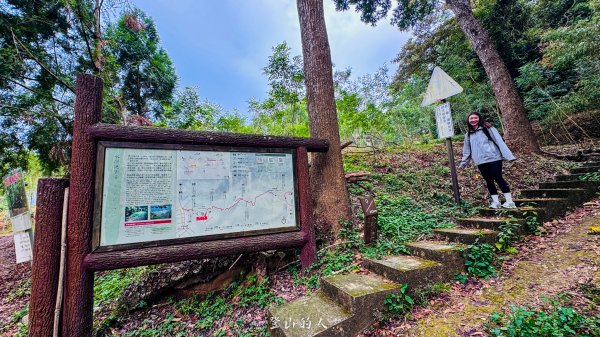 水沙漣古道｜二坪山2979984