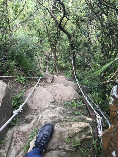 新店獅仔頭山126091