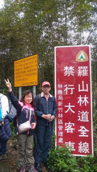 迷霧森林的羅山林道北線、油羅山 H1764m (巧遇野孩子小樂)1531427