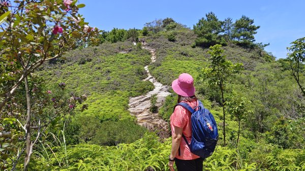 (姨婆趴趴走)第四十三集:攀登連走奇岩山、軍艦岩、丹鳳山2499516