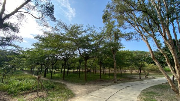 尚書林山步道(鳳凰山)2730898