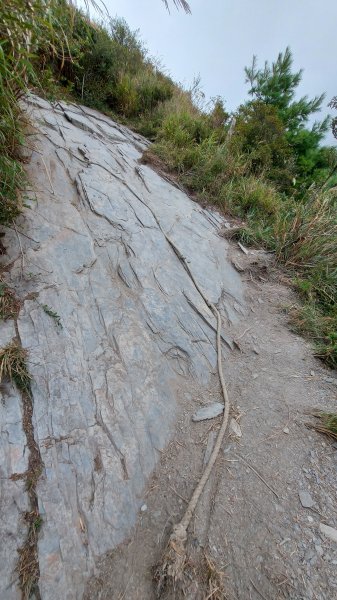 111/9/17南橫三星：關山嶺山1872664