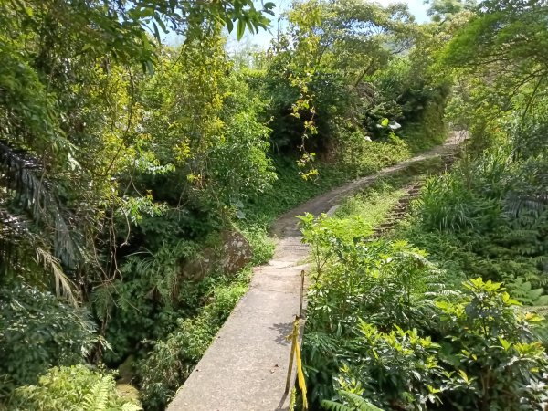 汐止區姜子寮田園步道+旗尾崙+姜子寮絕壁、瀑布O型2822235