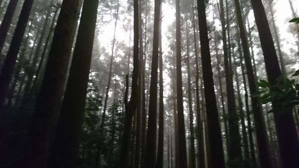 106.09.24 加里山、哈勘尼山170965