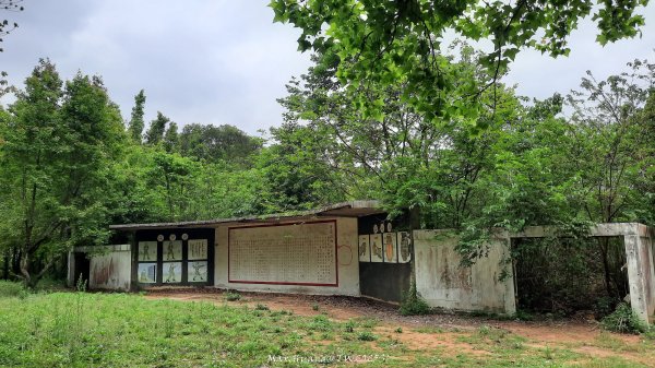 《苗栗》楓香林道｜頭份老崎古道（後花園步道）202503292748868