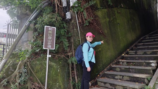 (姨婆趴趴走)第五十二集:新北新店攀登和美山及灣潭山2761083