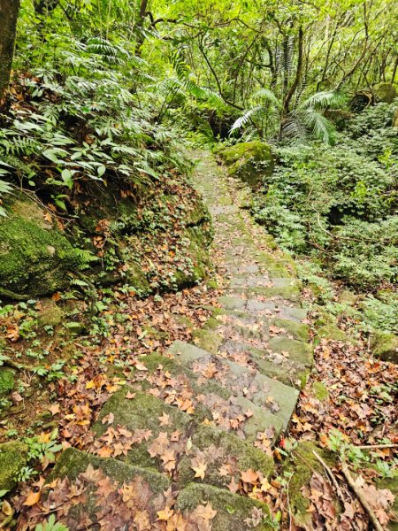 2025臺北大縱走第四段：風櫃口至中華科技大學2973479