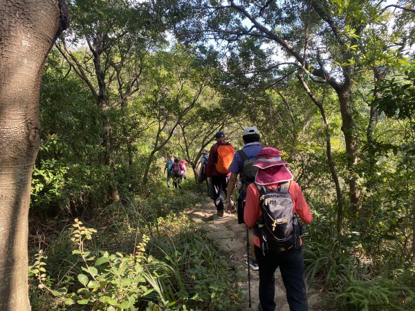 《踏青北投｜捷運唭哩岸到新北投・串走奇岩山、軍艦岩、幸福石》2979014