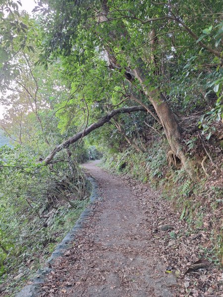 冬山梅花湖中山步道+大陂丘山202509292901659