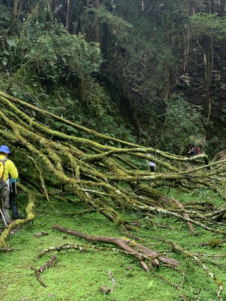 20200726石山，石山引水道1048279