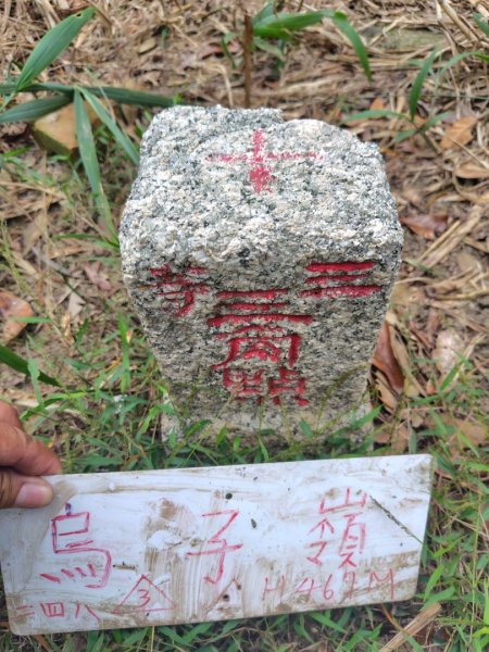 大棟山系南段 水利古道西口 上 竹高崙山 連走 鳥子嶺 坑仔內山 大崖山 下 龍目井農場2953166