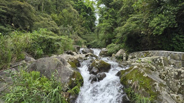開箱猴崁古道，陽明山秘境，全新完工草山觀瀑吊橋2766367