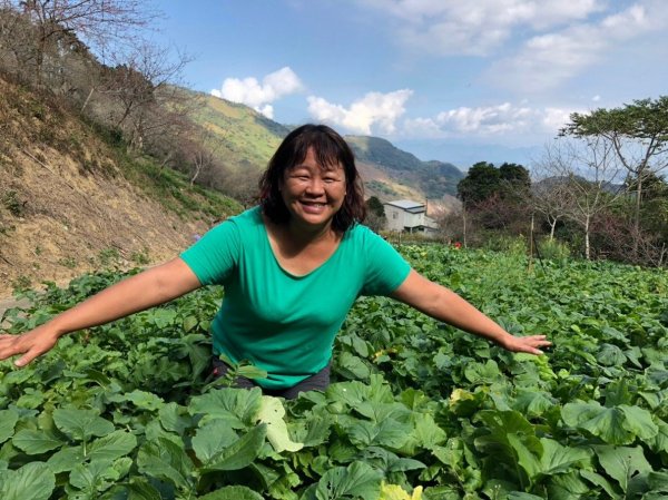 驚驚車程的九份二山之賞梅趣503679