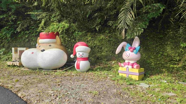 20250503藍鵲峰-平溪子山-畝畝山-青林山