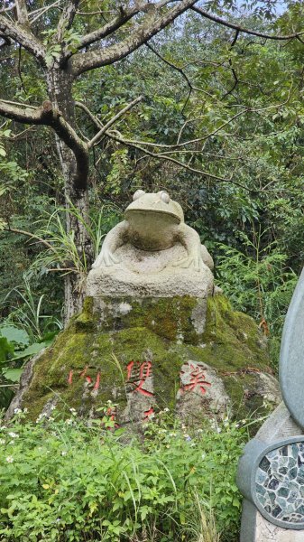 大崙頭尾山2872666