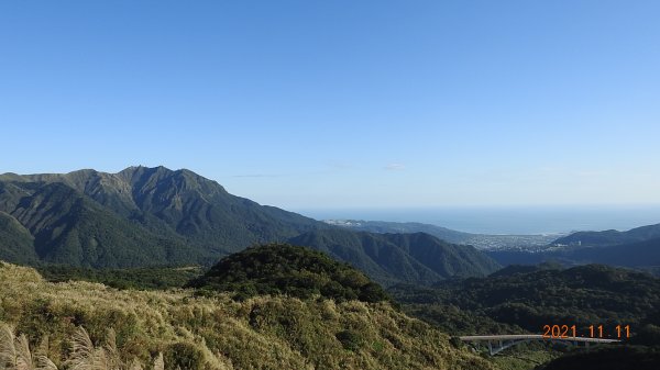 秋高氣爽芒花季再度陽明山天際線-七星山主東峰+大屯山主南西峰向天面天山O型+小觀音山主西南峰共10峰1511054